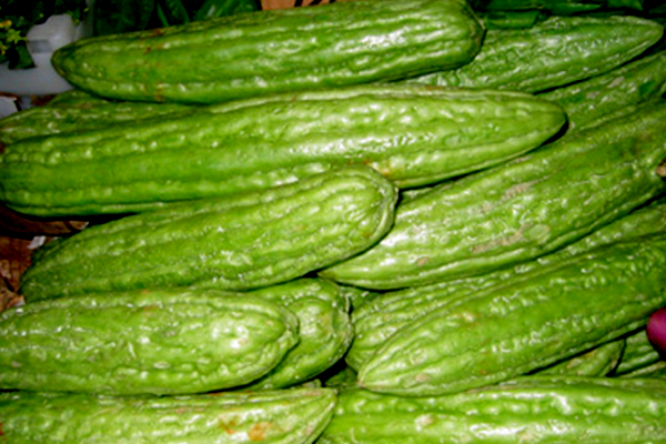 Fresh Ampalaya 1kg