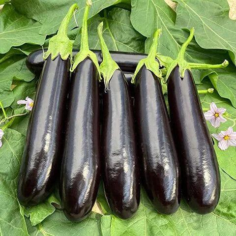 Eggplant 500g