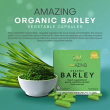 Load image into Gallery viewer, Amazing Pure Organic Barley Capsules ₩45,000.00
